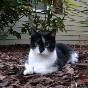 Meet your Posher, Celeste